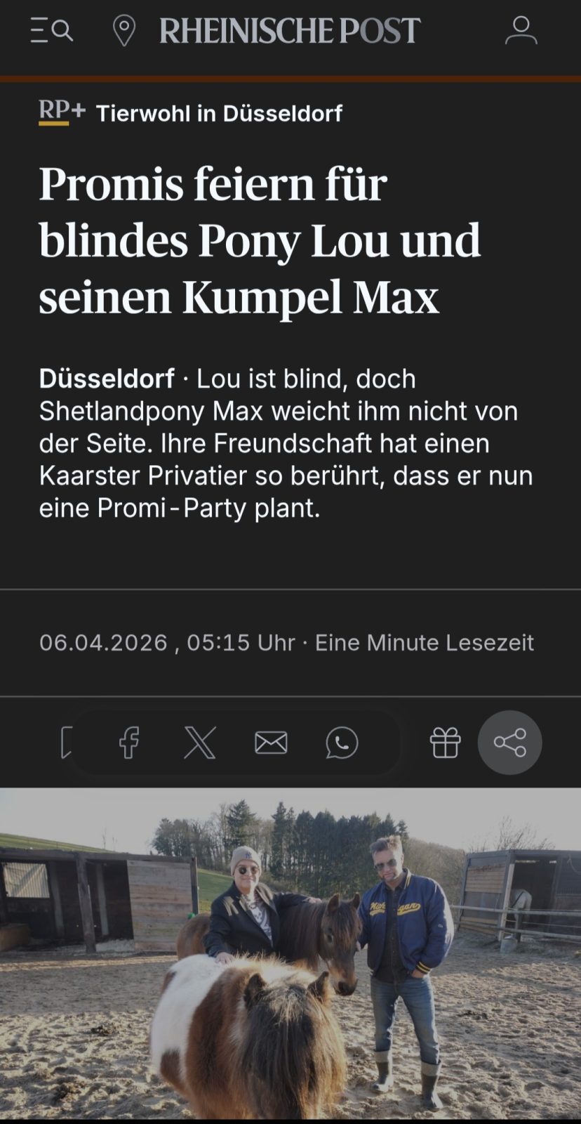 media